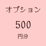 オプション500円分