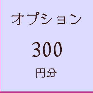 オプション300円分