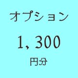 画像: オプション1300円分