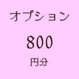 画像: オプション800円分