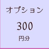 画像: オプション300円分