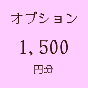 画像1: オプション1500円分 (1)
