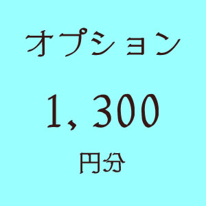 画像1: オプション1300円分 (1)