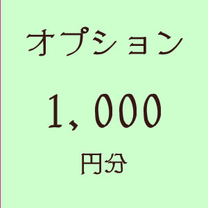 画像1: オプション1000円分 (1)